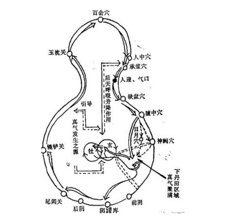 “丹道十二重楼”是道教内丹修炼（即丹道）中的一个重要术语，具有深刻的象征意义和具体的生理指涉。  ## 核心含义  1.  **字面/生理指涉：** 指人的**喉咙（咽部）**。 2.  **象征意义：** 象征内丹修炼过程中，**“气”或“丹药”（精气神凝结之物）** 从下丹田（小腹区域）上升至头部（上丹田）所必须经过的一条**关键通道**。  ## 详细解释  1.  **“重楼”的由来：**     *   人的喉咙（咽部）由**十二节环状软骨**构成（现代解剖学确认有6-8块软骨板，但传统中医/丹道沿用“十二节”之说）。     *   这些软骨节节相叠，形状如同多层楼
